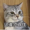 10_AgAABfu9JZgNvpjcEBdLIrFEllONvUqt.png
